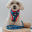 Dog Leash - MLB™ x Peanuts™ Los Angeles Dodgers™