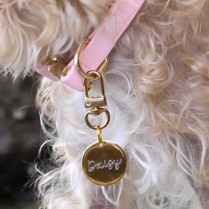 Elise Collar - Rose