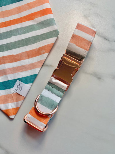 Fall Stripes - Pastel Collar