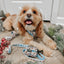 Dog Adjustable Harness - Let it Bow