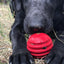 USA-K9 Stars and Stripes Rubber Dog Toy | K9 Handler Reward Toy | Red | USA Made