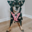 Dog Adjustable Harness - Dough My Goodness