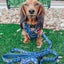 Dog Adjustable Harness - Spellbound