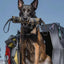 K9R - Kiloniner TUG-N-TRAIN Tug Toy