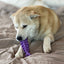 Fish Bone Nylon Dog Toy for Aggressive Chewers | USA Made | SodaPup