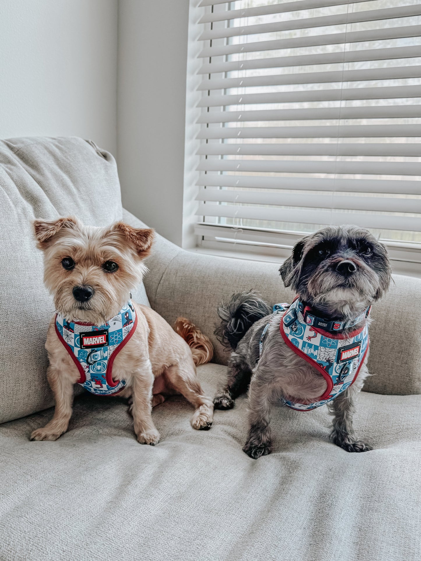 Dog Adjustable Harness - Marvel’s Spider-Man