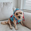 Dog Reversible Sherpa Jacket - Marvel’s Spider-Man