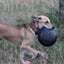 Magnum Bottle Top Flyer Rubber Frisbee for Heavy Chewers | Large | USA Made