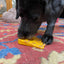Swiss Cheese Wedge Nylon Dog Chew Toy for Aggressive Chewers | SodaPup