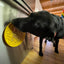 Rubber Duckies emat - Enrichment Lick Mat for Dogs and Cats - with Suction Cups | Bath Time Design | SodaPup USA Made
