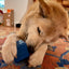 Love Cube eDispenser - Durable Rubber Chew Toy & Treat Dispenser | USA Made