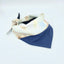 'Aspen' Reversible Pet Bandana