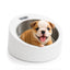 Neo Natal Puppy Scale