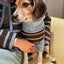 Bluebell Stripes Sweater