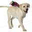 Mr. Peanut's Original Pet Grooming Glove