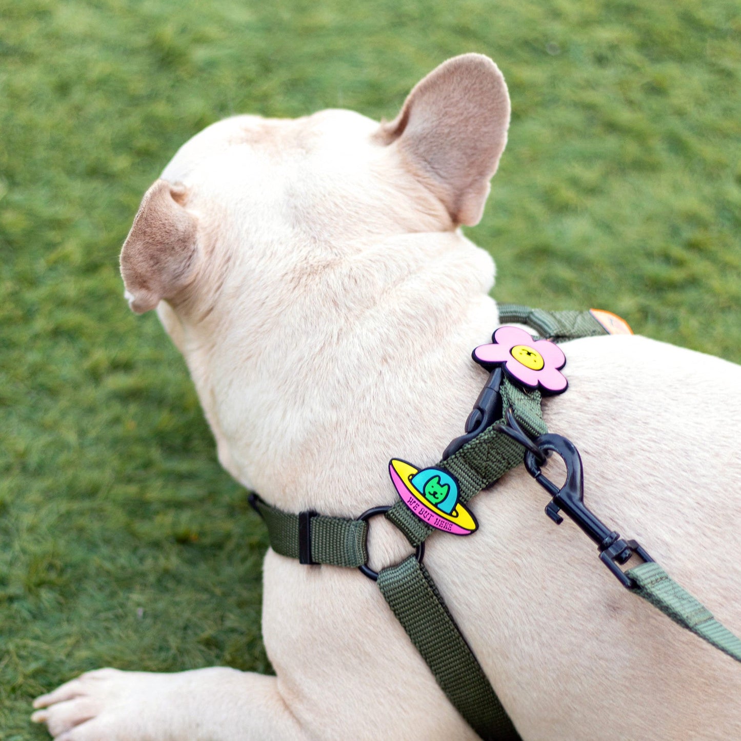 UFO Jiby Dog Charm
