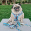 Dog Two Piece Bundle - Hello Kitty® & Friends In the Sky