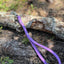 Biothane® Dog Leash — Waterproof, Made in the USA