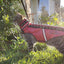 SpikeVest for Cats
