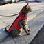 SpikeVest for Cats
