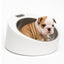 Neo Natal Puppy Scale