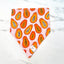Papaya Paradise Dog Bandana