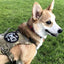 DOG & CROSSBONES Glow In The Dark Morale Patch