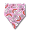 Bunny Bonanza Dog Bandana