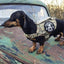 DOG & CROSSBONES Glow In The Dark Morale Patch