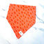 Peachy Raindrops Dog Bandana