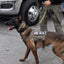 K9R - M4 Tactical MOLLE Vest