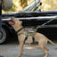 K9R - M4 Tactical MOLLE Vest