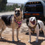 K9R - M1 LightSpeed Harness Large