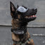 Detection K9 Laser Cut Reflective Morale Patch
