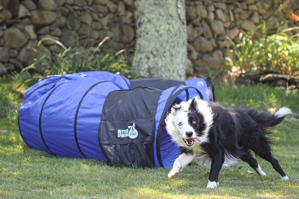 Better Sporting Dogs 16 ft Dog Agility Tunnel with Sandbags –  Training Tunnel for Backyard Agility Courses