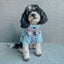 Dog Adjustable Harness - Let it Bow