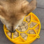 Sunflower eTray Shallow Slow Feeder Dog Bowl for Enrichment | USA Made