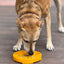 Sunflower eTray Shallow Slow Feeder Dog Bowl for Enrichment | USA Made