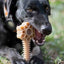 Honey Bone Dental Flower Tower - Indestructible Nylon Dog Chew Toy XL | USA