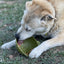 Garden of Eatin' Tipsy Bowl - Wobble Lick Mat for Dogs & Cats | USA Made