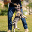 K9R - Kiloniner TUG-N-TRAIN Tug Toy