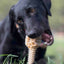 Honey Bone Dental Flower Tower - Indestructible Nylon Dog Chew Toy XL | USA