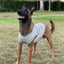 ACTIVE COOLING SHIRT