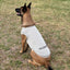 ACTIVE COOLING SHIRT