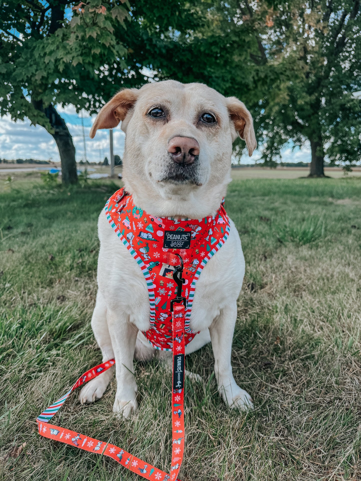 Dog Adjustable Harness - Peanuts™ Beagle Bells