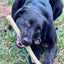 Durable Nylon Chew Stick for Power Chewers | Indestructible Dog Toy USA