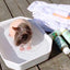 4-HAIRLESS PETS *SKINNYPIG REGULAR KIT