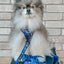 Dog Adjustable Harness - Spellbound