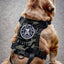 K9R - M1 LightSpeed Harness