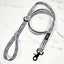 Trendsetter Leash